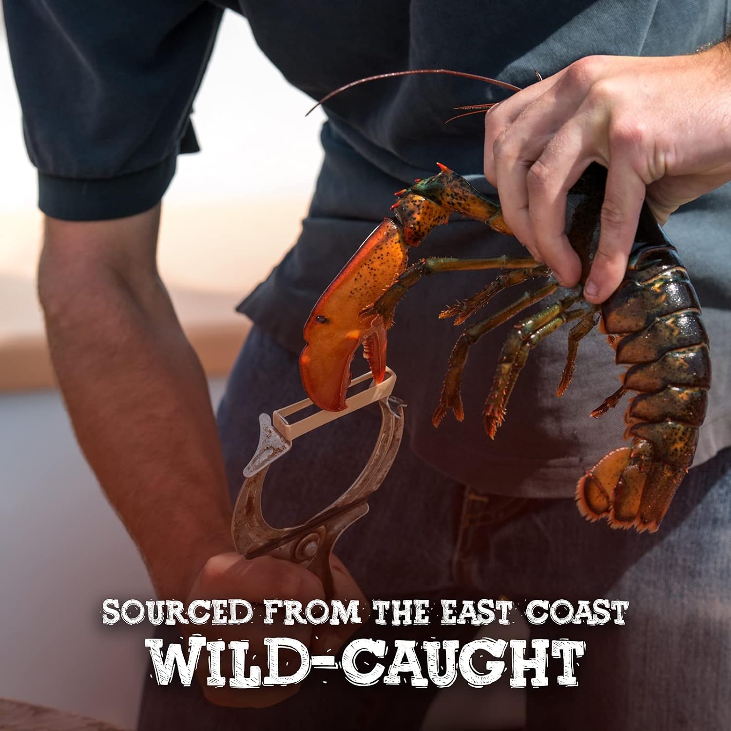 Premium Wild-Caught Frozen Cooked Lobster Claw, Knuckle & Leg Meat, 8 Oz